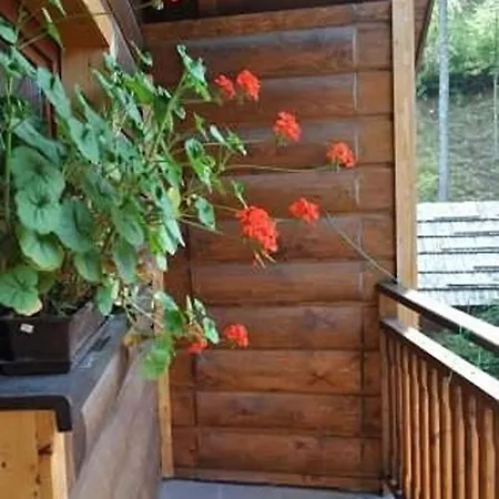 Apartmán Pod Vrskom *